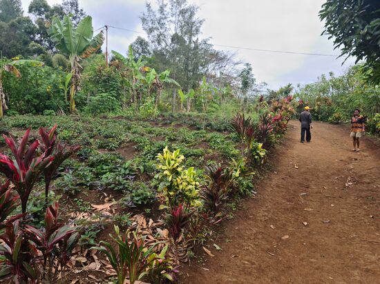 Die Frauen fahren täglich auf den Markt um ihre Produkte zu verkaufen.
Es wird alles jeden Tag verkauft, verarbeitet – kein Kühlschrank!