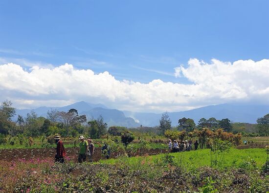 Der Dorf Chef führt uns durch die Felder und erklärt die Pflanzen und den Anbau