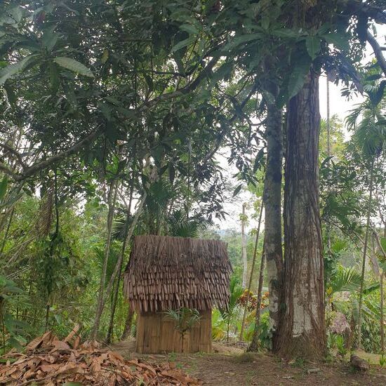 die obligatorische Klohütte