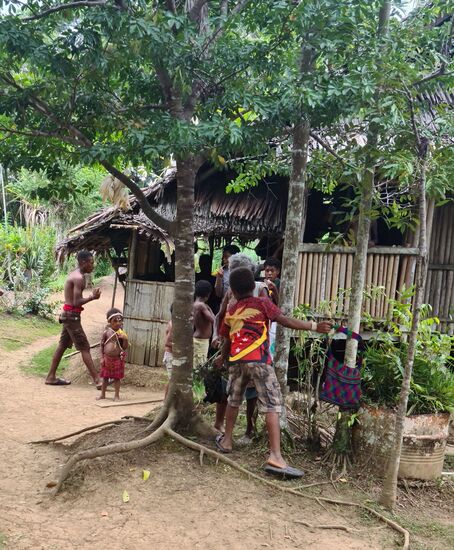 Hier wird uns gezeigt, wie die Betelnüsse vom Baum geholt werden. 
Die Jungen werden auch Monkeys genannt, weil sie die dünne Palme hochklettern.. Ein Stoffring um die Füsse, und dann mit Armen und Beinen hochgezogen.