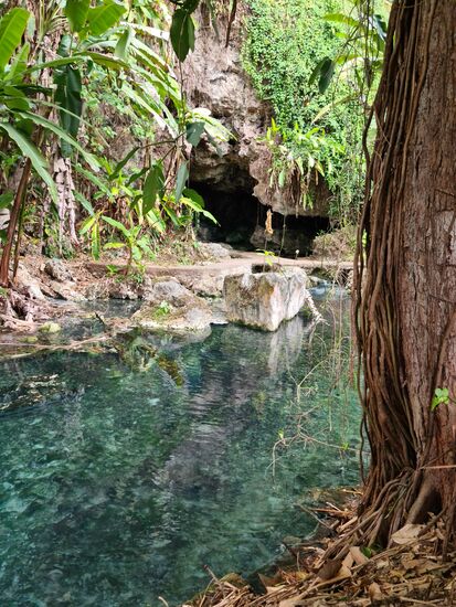 In der kleinen Höhlenausbuchtung staunen wir dann, als die ebenfalls gekaufte Wurst an kleine Wasserschildkröten verfüttert wird.