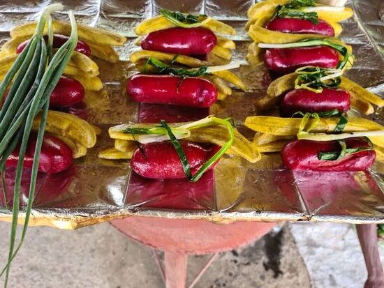 Diese Würste übrigens mochten Schildkröten und Aale sehr gerne.