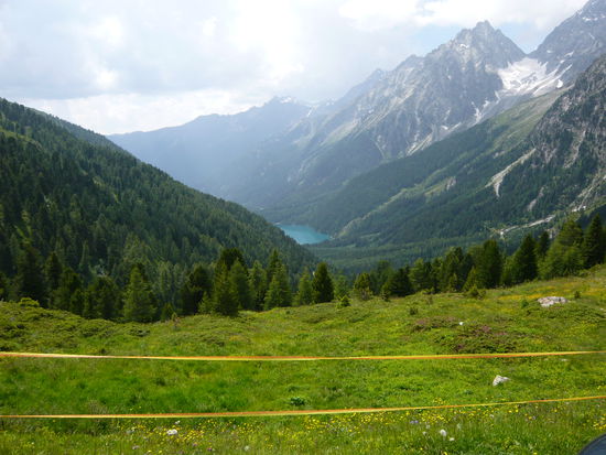 Am Stallersattel ( Wer genau hinschaut sieht den Antholznersee )
Info Stallersattel