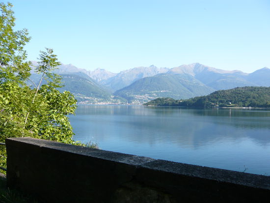 Comersee
