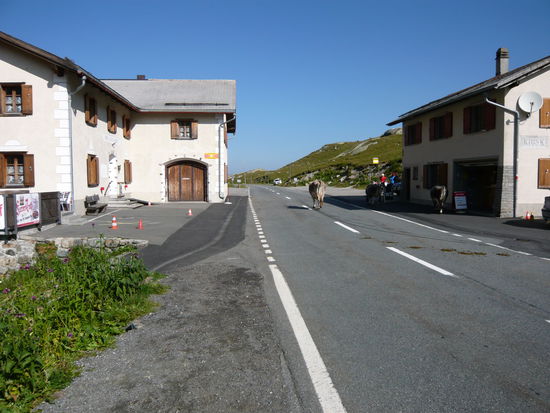 Flüelapass Schweiz