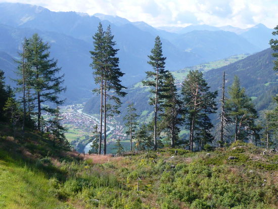 Am Kaunergrad ( Pillerhöhe )
Info