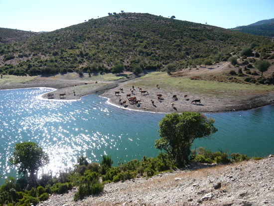 Nationalpark Orosei Sardinien
Info