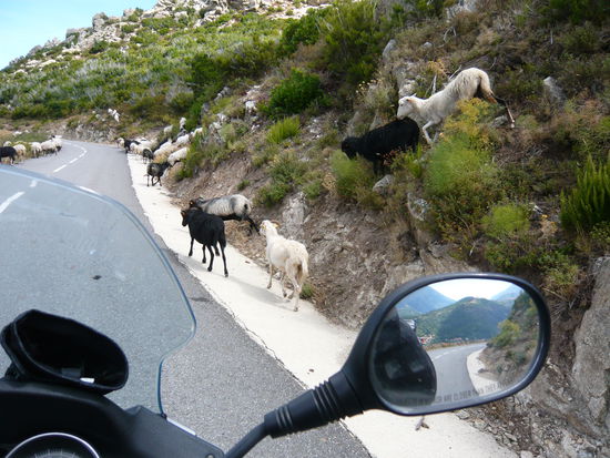 Antisanti Richtung Aleria Korsika