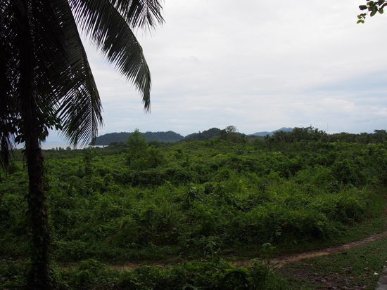 Die Insel von der Mitte aus gesehen...