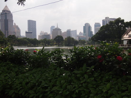 Noch mehr Lumphini Park!