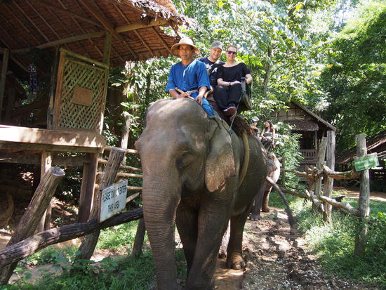 Unser Mahout, unser Elefant und wir!