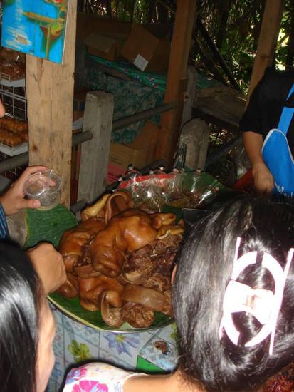 Yummi-yummi, Schweinenase 