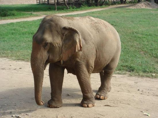 "mal sehen was es heute in der Kantine so gibt..."