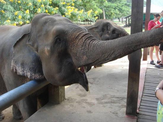 "Ich hätte gerne die Melone da oben".