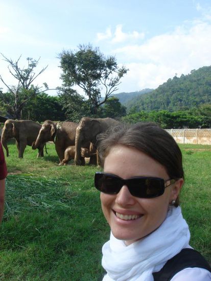 Elefantenwatching, ganz in Ruhe