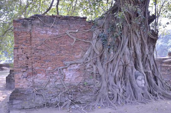 ... einen hat sich dieser Baum geschnappt 
Vor diesem bekannten Fotomotiv ging's zu wie am Stachus.