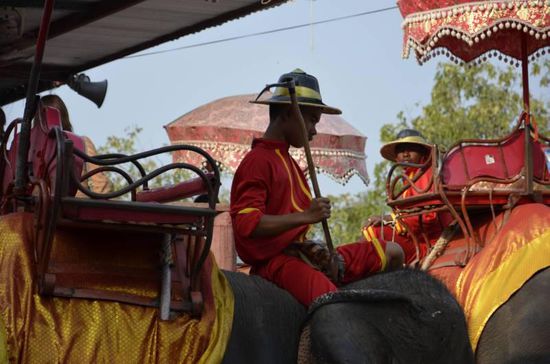 Da sie das wohl nicht ganz freiwillig mitmachen, werden sie mit einer Hacke dazu gebracht das zu machen, was sie sollen. Unfassbar dass es so viele Touristen gibt, denen das egal ist oder die nur 3m weit denken können...