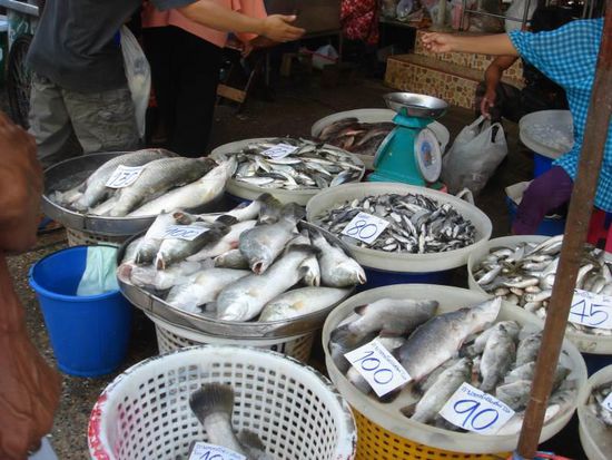 Fische, Krabben, Muscheln und andere Meerestiere wurden hier massenweise angeboten - sowohl frisch als auch getrocknet.