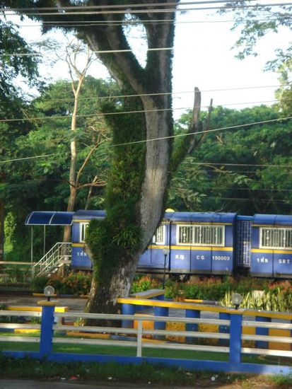 Blick aus dem Zug am nächsten Morgen (unser Zug war nicht ganz so schön...)