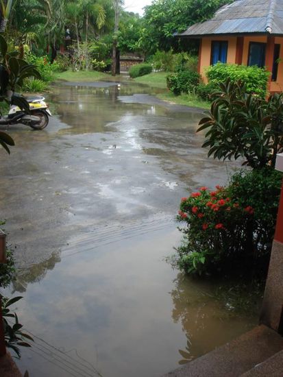 Blick aus unserem Bungalow in der "Früh" (so um 11...da war glaub ich das gröbste eh schon wieder abgeflossen)