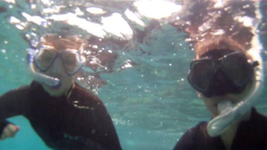 Evafisch und Felixfisch