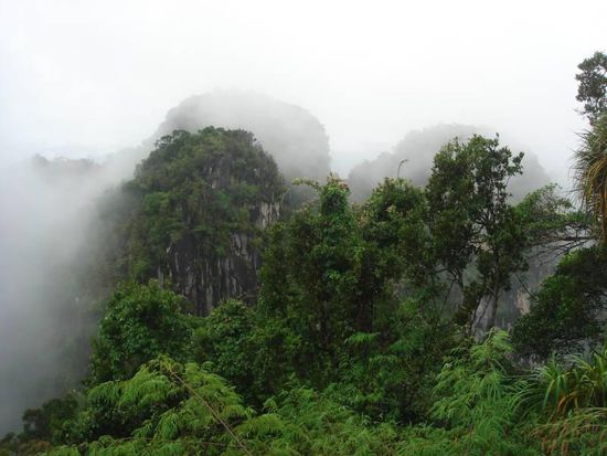 Hier ein etwas schönerer Ausblick in den Jungle auf der anderen Seite