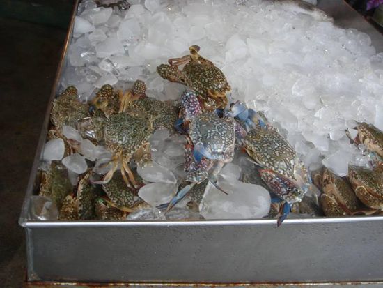 Krebse (werden hier am Straßenrand gegrillt)