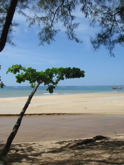 Bilder aus dem Nationalpark - hier gibts keine Bebauung und der Strand war so gut wie leer