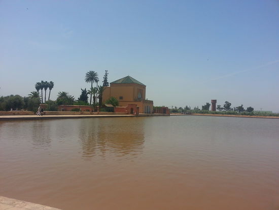 Nicht gerade zum schwimmen geeignet