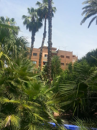 Jardin Majorelle