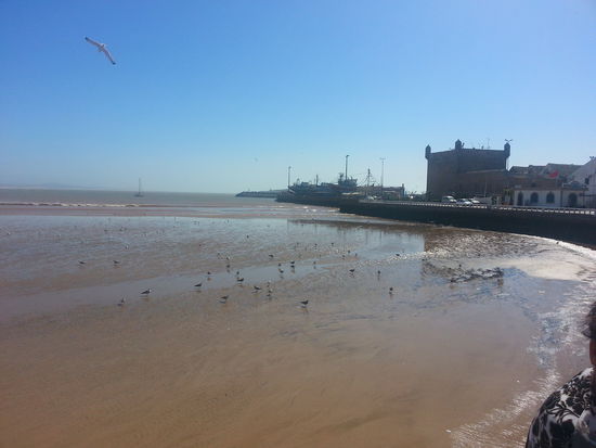 Der Atlantik...sehr viele Möven zu sehen, auch kein Wunder bei diesem Gestank 