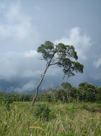 hier erkennt man schon die dunklen Wolken
