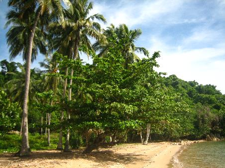 der Strand von Tonsay Island