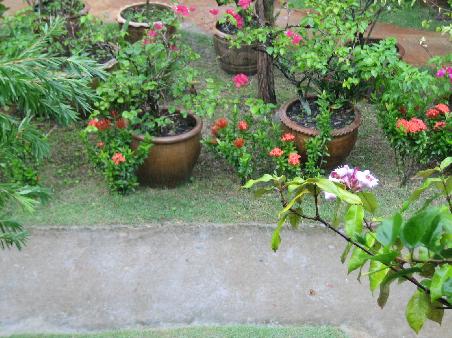 Regen!!!