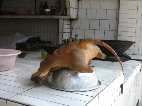 lecker, heute Ferkel?