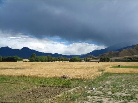 dunkle Regenwolken
