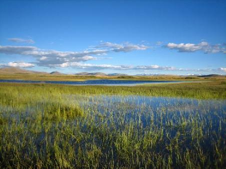 das Grasland hinter Paryang