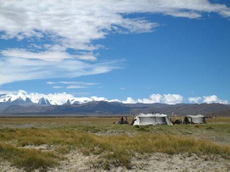 Nomadenzelte und im Hintergrund das Himalayagebirge