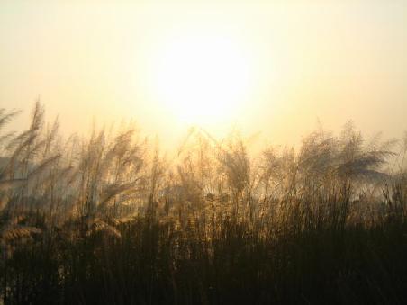 Sonnenuntergang im Grashochland