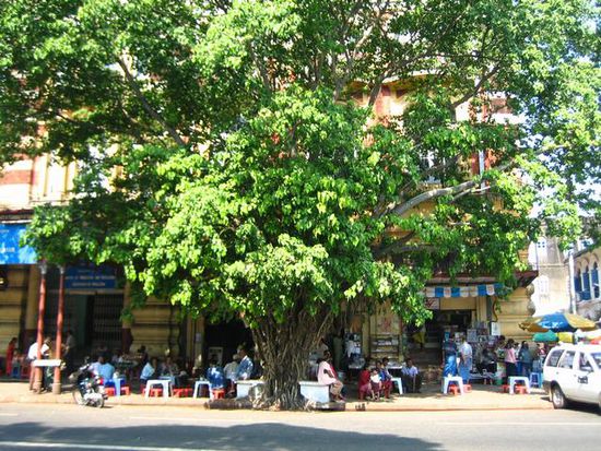 grünes Strassenbild Yangons
