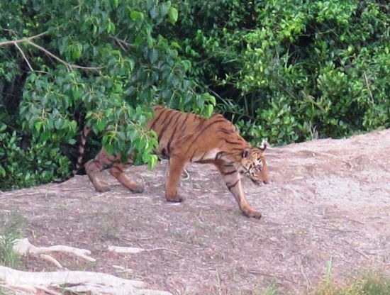 und ich konnte es einfach nicht fassen - mir blieb die luft weg...