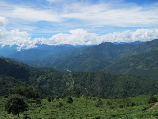 am Weg nach Sikkim