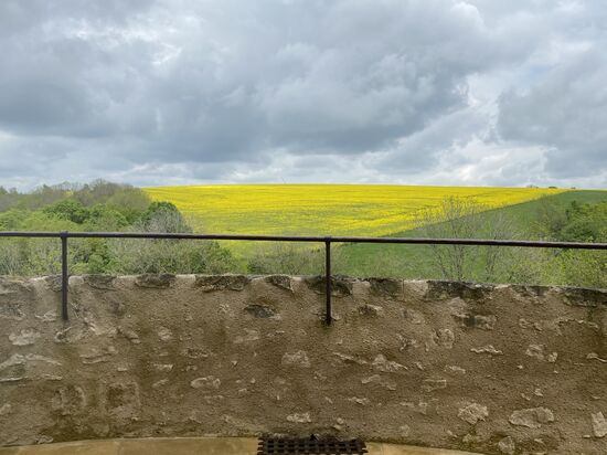 den Ausblick genießen wir schließlich vom einzigen Rundturm
