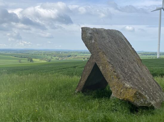 T. Wojciechowicz - 1986