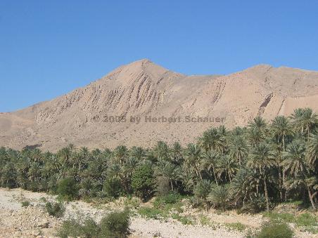 Eingang zum Wadi Bani Khalid