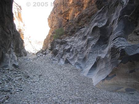 Seitenschlucht des Wadi Bani Awf