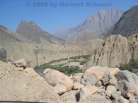Die kleine Oase Zammah im Wadi