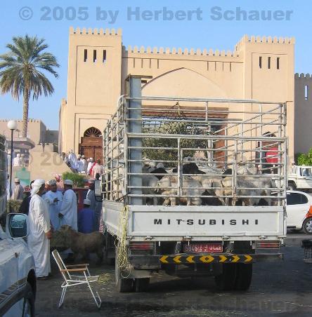 Ankunft zum Viehmarkt in Nizwa