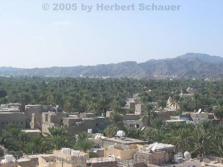 Oase Nizwa vom Fort aus gesehen