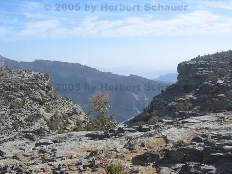 auf dem Hochplateau